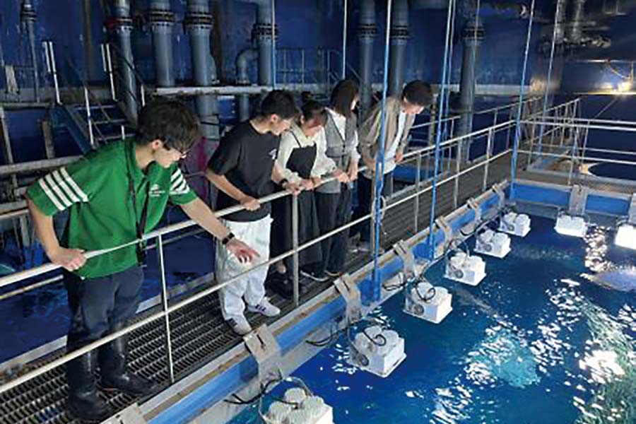 アクアワールド茨城県大洗水族館