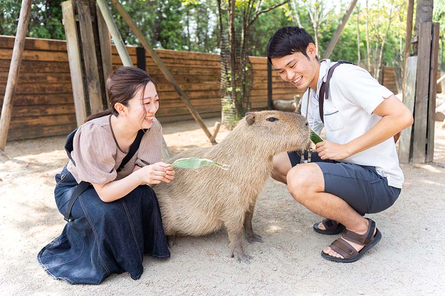 那須どうぶつ王国