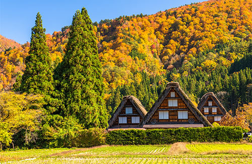 白川郷・高山・下呂