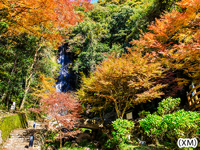 清水の滝