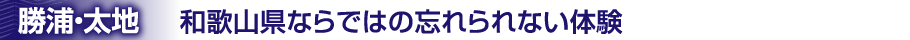 和歌山県ならではの忘れられない体験