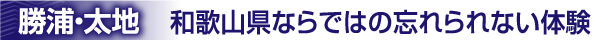 和歌山県ならではの忘れられない体験
