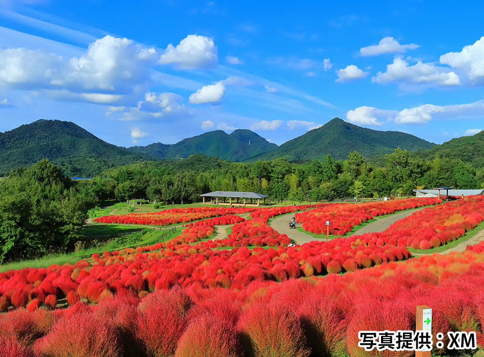 国営讃岐まんのう公園