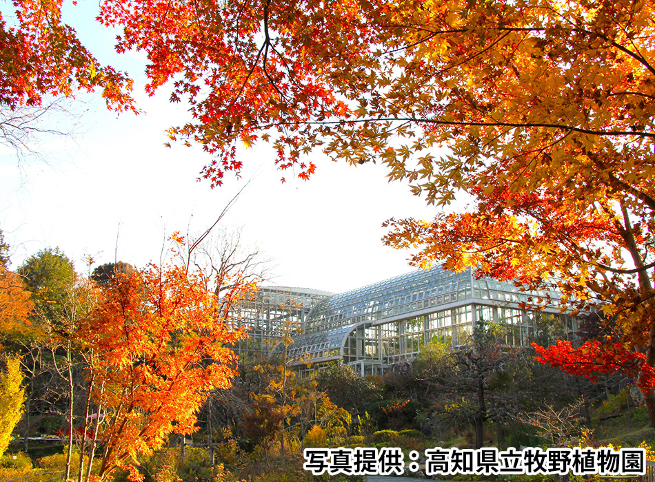 高知県立牧野植物園