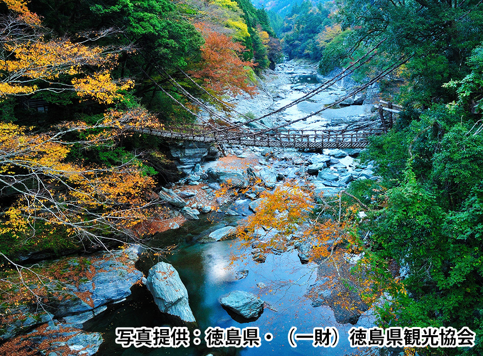 祖谷のかずら橋