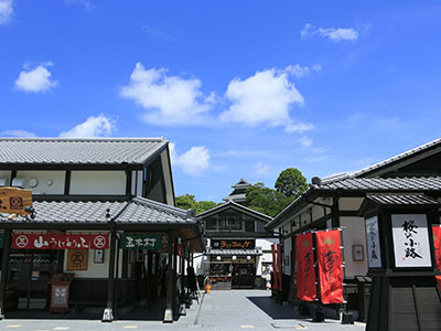 【旅パック】南九州DE超回復の旅～熊本～熊本城桜の馬場城彩苑　桜の小路　利用券付　２日間