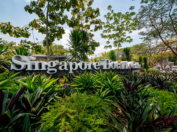 シンガポール植物園イメージ画像