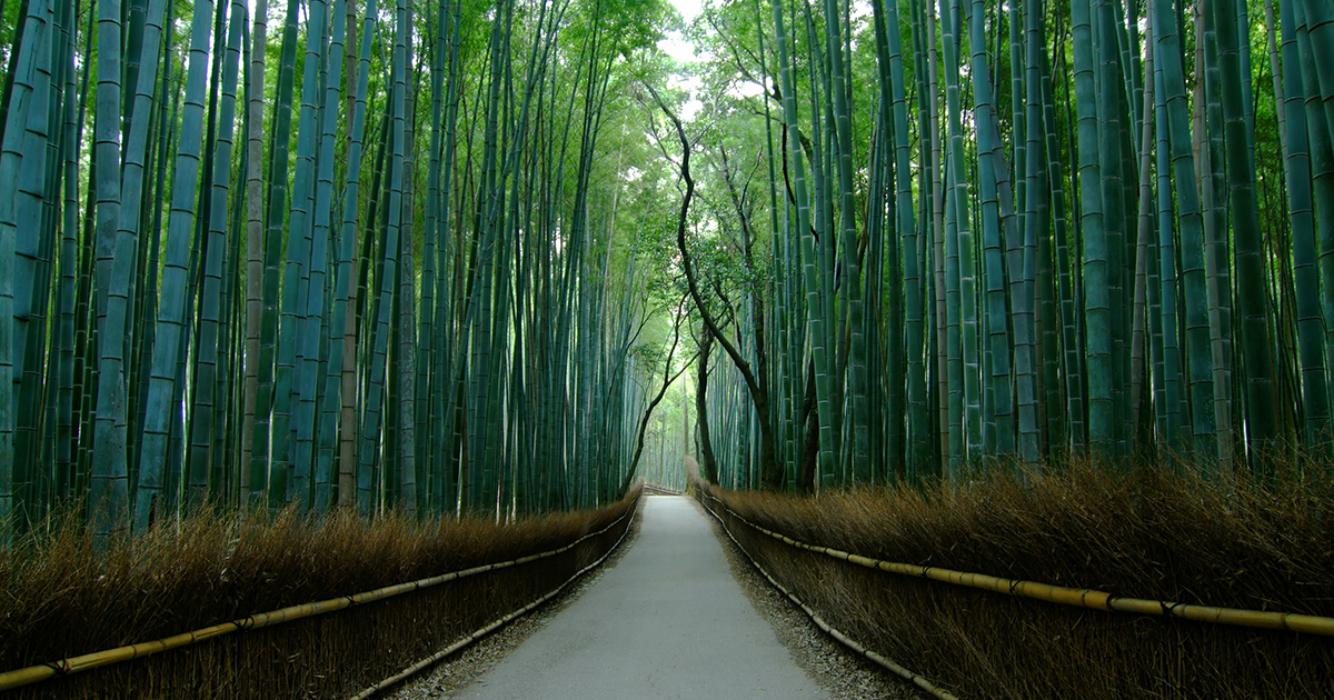 京都 女子旅におすすめの旅行・ツアー特集 イメージ